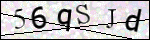Human Confirmation Code (Captcha)