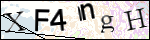 Human Confirmation Code (Captcha)