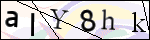 Human Confirmation Code (Captcha)