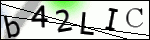 Human Confirmation Code (Captcha)