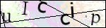 Human Confirmation Code (Captcha)