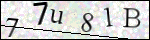 Human Confirmation Code (Captcha)