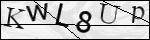 Human Confirmation Code (Captcha)