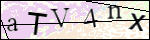 Human Confirmation Code (Captcha)