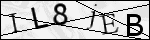 Human Confirmation Code (Captcha)