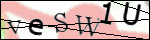 Human Confirmation Code (Captcha)