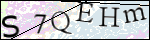 Human Confirmation Code (Captcha)