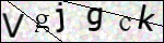 Human Confirmation Code (Captcha)