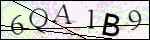 Human Confirmation Code (Captcha)