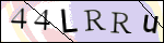 Human Confirmation Code (Captcha)