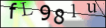 Human Confirmation Code (Captcha)