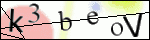 Human Confirmation Code (Captcha)