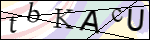 Human Confirmation Code (Captcha)