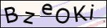 Human Confirmation Code (Captcha)