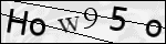 Human Confirmation Code (Captcha)