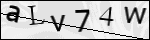 Human Confirmation Code (Captcha)