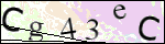 Human Confirmation Code (Captcha)