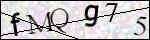 Human Confirmation Code (Captcha)