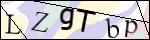 Human Confirmation Code (Captcha)