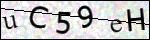 Human Confirmation Code (Captcha)