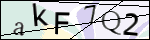 Human Confirmation Code (Captcha)