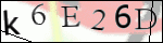 Human Confirmation Code (Captcha)