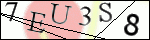 Human Confirmation Code (Captcha)