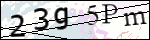 Human Confirmation Code (Captcha)