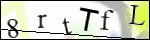 Human Confirmation Code (Captcha)