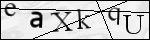 Human Confirmation Code (Captcha)