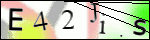 Human Confirmation Code (Captcha)