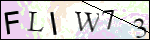 Human Confirmation Code (Captcha)