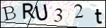 Human Confirmation Code (Captcha)
