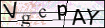 Human Confirmation Code (Captcha)