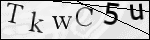 Human Confirmation Code (Captcha)