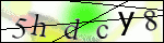 Human Confirmation Code (Captcha)