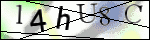 Human Confirmation Code (Captcha)