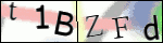 Human Confirmation Code (Captcha)