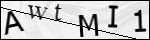 Human Confirmation Code (Captcha)