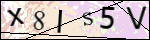Human Confirmation Code (Captcha)