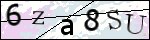 Human Confirmation Code (Captcha)