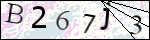 Human Confirmation Code (Captcha)