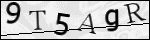 Human Confirmation Code (Captcha)