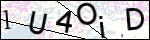 Human Confirmation Code (Captcha)