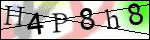 Human Confirmation Code (Captcha)