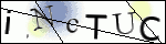 Human Confirmation Code (Captcha)