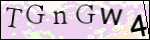 Human Confirmation Code (Captcha)