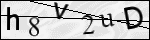 Human Confirmation Code (Captcha)