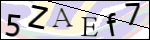 Human Confirmation Code (Captcha)