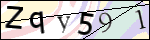 Human Confirmation Code (Captcha)